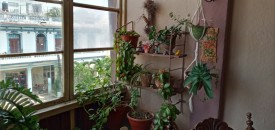 Apartamento de 2 habitaciones en venta en Vedado, Plaza de la Revolución, La Habana - 5