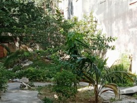 Apartment with 4 bedrooms for sale in Príncipe, Plaza de la Revolución, La Habana - 12