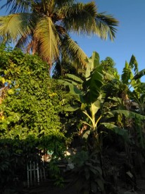House with 3 bedrooms for exchange in Diezmero, San Miguel del Padrón, La Habana - 9