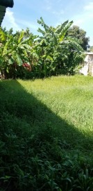 Detached House with 3 bedrooms for exchange in Playa, La Habana - 20
