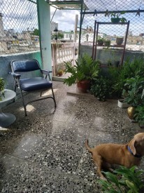 Duplex with 3 bedrooms for sale in Cerro, La Habana - 16