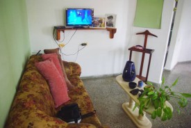 Apartamento de 3 habitaciones en venta en Nuevo Vedado, Plaza de la Revolución, La Habana - 4