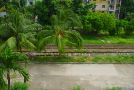 Apartamento de 3 habitaciones en venta en Nuevo Vedado, Plaza de la Revolución, La Habana - 6