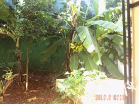 Duplex with 3 bedrooms for exchange in Siboney - Playa, Playa, La Habana - 6