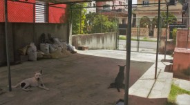 Chalet de 4 habitaciones en venta en Nuevo Vedado, Plaza de la Revolución, La Habana - 22