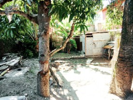 Casa Independiente de 2 habitaciones en venta en Mantilla, Arroyo Naranjo, La Habana - Miniatura 14