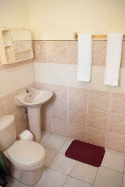 Chalet with 5 bedrooms for sale in Vedado, Plaza de la Revolución, La Habana