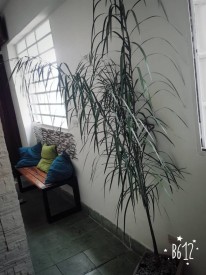 Apartamento de 1 habitación en venta en Vedado, Plaza de la Revolución, La Habana - 4