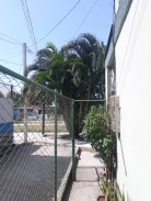 Biplanta en Los Pinos, Arroyo Naranjo, La Habana 2