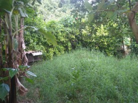 Casa Independiente de 3 habitaciones en venta en Caimito, Artemisa - 19
