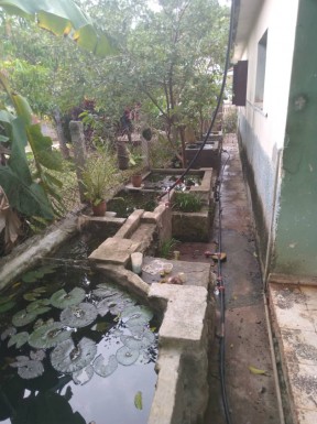 Detached House with 3 bedrooms for sale in Caimito, Artemisa