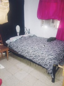 Casa Independiente de 4 habitaciones en venta en Vedado, Plaza de la Revolución, La Habana - 19