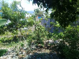 Detached House with 3 bedrooms for sale in Playa Girón, Ciénaga de Zapata, Matanzas - 6