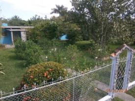 Country House with 3 bedrooms for sale in Isla de la Juventud