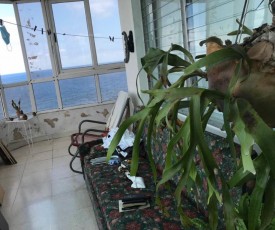 Apartamento de 3 habitaciones en venta en Vedado, Plaza de la Revolución, La Habana - 6