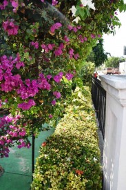 Casa Independiente de 5 habitaciones en venta en Vedado, Plaza de la Revolución, La Habana - 8