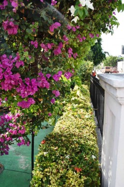 Casa Independiente de 5 habitaciones en venta en Vedado, Plaza de la Revolución, La Habana