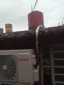 Apartment with 1 bedroom for sale in Arroyo Naranjo, La Habana - 16