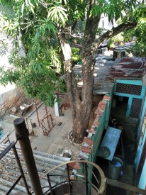 Duplex with 4 bedrooms for sale in Las Cañas, Cerro, La Habana - 8