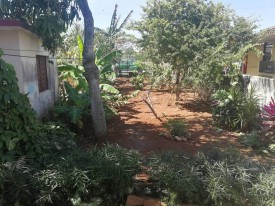 Detached House with 6 bedrooms for exchange in Santa Fe, Playa, La Habana - 25