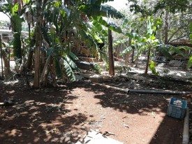 Detached House with 3 bedrooms for exchange in Santa Fe, Playa, La Habana - 29