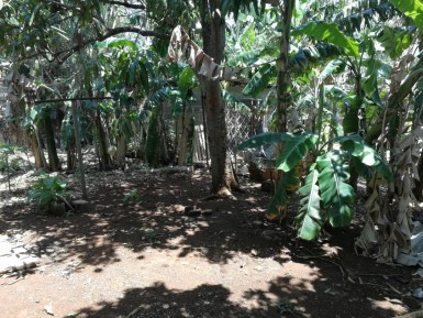 Detached House with 3 bedrooms for sale in Santa Fe, Playa, La Habana