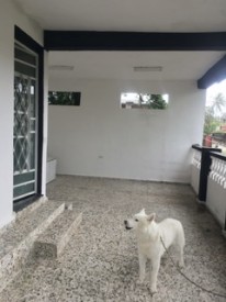 Casa Independiente de 4 habitaciones en venta en California, San Miguel del Padrón, La Habana - Miniatura 45