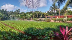 Country House with 4 bedrooms for sale in Santa Amelia, Cotorro, La Habana - 30