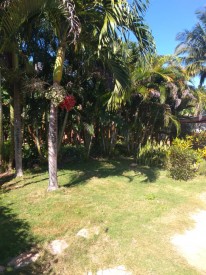 Country House with 4 bedrooms for sale in Santa Amelia, Cotorro, La Habana - 32
