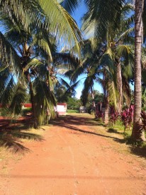Country House with 4 bedrooms for sale in Santa Amelia, Cotorro, La Habana - 33