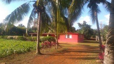 Country House with 4 bedrooms for sale in Santa Amelia, Cotorro, La Habana