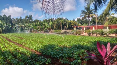 Country House with 4 bedrooms for sale in Santa Amelia, Cotorro, La Habana