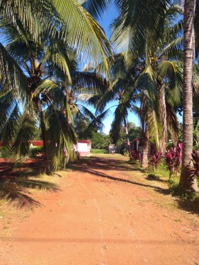 Country House with 4 bedrooms for sale in Santa Amelia, Cotorro, La Habana