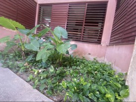 Apartment with 4 bedrooms for sale in Nuevo Vedado, Plaza de la Revolución, La Habana - 11