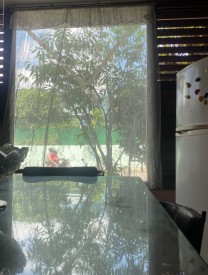 Apartment with 4 bedrooms for sale in Nuevo Vedado, Plaza de la Revolución, La Habana - 8