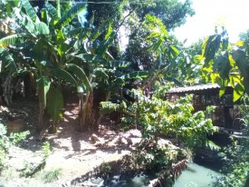Casa Independiente de 1 habitación en venta en Ampliación de San Matías, San Miguel del Padrón, La Habana - 24
