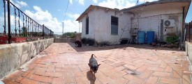 Apartamento de 3 habitaciones en venta en Los Quemados, Marianao, La Habana - 13