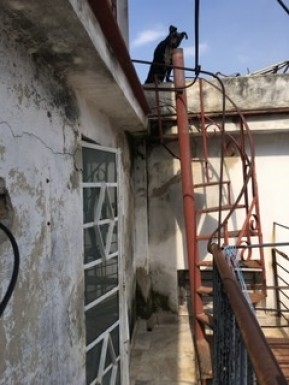 Apartment with 2 bedrooms for sale in Pueblo Nuevo, Centro Habana, La Habana