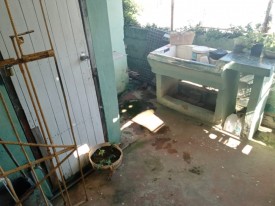 House with 3 bedrooms for sale in La Cumbre, San Miguel del Padrón, La Habana - 22