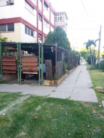 Apartment with 2 bedrooms for sale in Vedado, Plaza de la Revolución, La Habana - 18