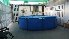 Duplex with 5 bedrooms for exchange in Buenavista, Playa, La Habana - 18