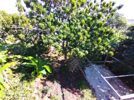 Casa Independiente de 6 habitaciones en venta en Nuevo Vedado, Plaza de la Revolución, La Habana - 62