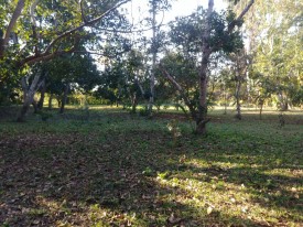 Country House with 3 bedrooms for sale in Santa Amelia, Cotorro, La Habana - 40