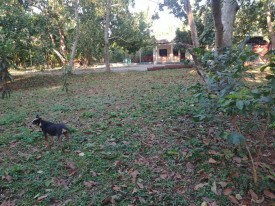 Country House with 3 bedrooms for sale in Santa Amelia, Cotorro, La Habana - 43