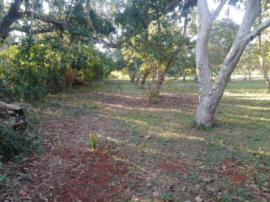 Casa de Campo de 3 habitaciones en venta en Santa Amelia, Cotorro, La Habana