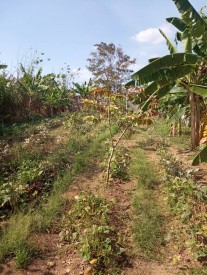 Detached House with 1 bedroom for exchange in Santa Fe, Playa, La Habana - 22