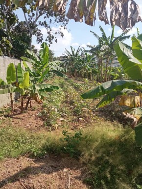 Detached House with 1 bedroom for sale in Santa Fe, Playa, La Habana