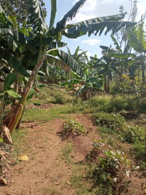 Detached House with 1 bedroom for sale in Santa Fe, Playa, La Habana