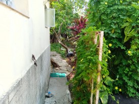 Apartment with 2 bedrooms for sale in Mantilla, Arroyo Naranjo, La Habana - 21