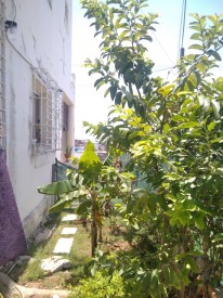 Detached House with 5 bedrooms for exchange in Almendares, Playa, La Habana - 39
